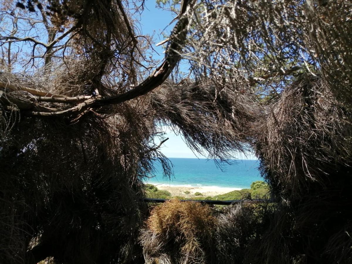 Villa Margherita Vista Mare Torre dei Corsari Εξωτερικό φωτογραφία